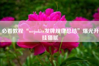 必看教程“wepoker发牌规律总结	”爆光开挂猫腻