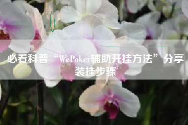 必看科普“WePoker辅助开挂方法”分享装挂步骤