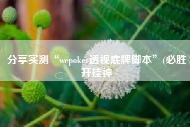 分享实测“wepoker透视底牌脚本	”(必胜开挂神