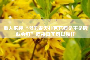 重大来袭“微乐春天扑克充钱是不是牌就会好”原来真实可以装挂