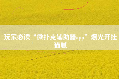 玩家必读“微扑克辅助器app”爆光开挂猫腻
