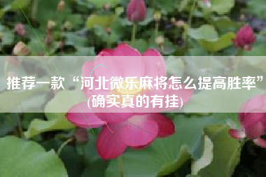 推荐一款“河北微乐麻将怎么提高胜率”(确实真的有挂)