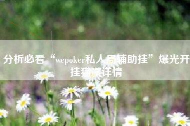 分析必看“wepoker私人局辅助挂”爆光开挂猫腻详情