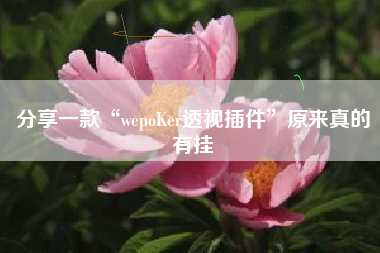 分享一款“wepoKer透视插件”原来真的有挂