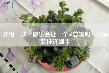 介绍一款“微乐会让一个id总输吗”分享装挂详细步