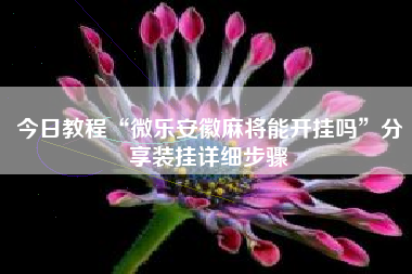 今日教程“微乐安徽麻将能开挂吗”分享装挂详细步骤