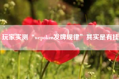 玩家实测“wepoker发牌规律”其实是有挂