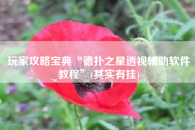 玩家攻略宝典“德扑之星透视辅助软件教程”(其实有挂)