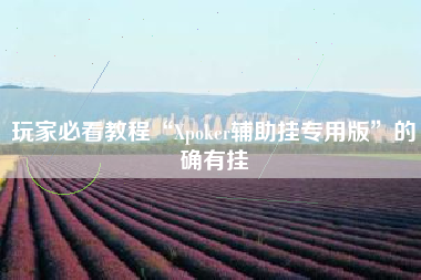 玩家必看教程“Xpoker辅助挂专用版”的确有挂
