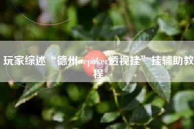 玩家综述“德州wepoker透视挂”挂辅助教程