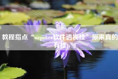 教程指点“wepoker软件透视挂”原来真的有挂