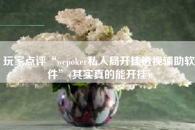 玩家点评“wepoker私人局开挂透视辅助软件	”(其实真的能开挂)