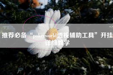 推荐必备“pokerworld透视辅助工具”开挂详细教学
