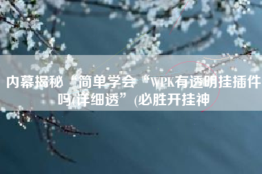 内幕揭秘“简单学会“WPK有透明挂插件吗(详细透”(必胜开挂神