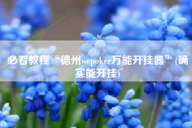 必看教程“德州wepoker万能开挂器”(确实能开挂)