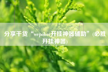 分享干货“wepoker开挂神器辅助	”(必胜开挂神器)