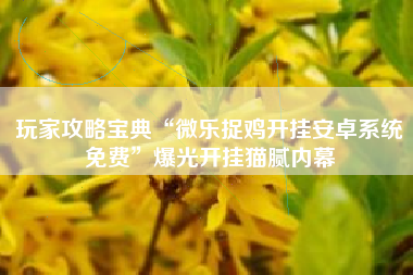 玩家攻略宝典“微乐捉鸡开挂安卓系统免费”爆光开挂猫腻内幕
