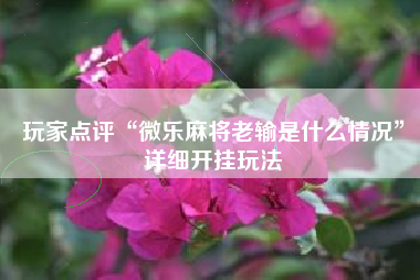 玩家点评“微乐麻将老输是什么情况”详细开挂玩法