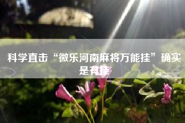 科学直击“微乐河南麻将万能挂”确实是有挂