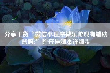 分享干货“微信小程序微乐游戏有辅助器吗?	”附开挂脚本详细步