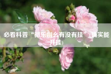 必看科普“微乐刨幺有没有挂”(确实能开挂)