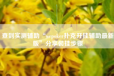 查到实测辅助“wepoker扑克开挂辅助最新版”分享装挂步骤