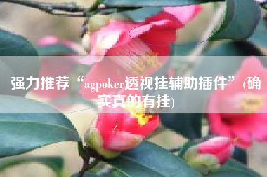 强力推荐“agpoker透视挂辅助插件”(确实真的有挂)