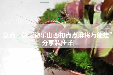 盘点一款“微乐山西扣点点麻将万能挂”分享装挂详