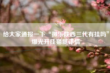 给大家通报一下“微乐陕西三代有挂吗”爆光开挂猫腻详情
