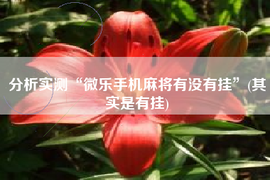 分析实测“微乐手机麻将有没有挂”(其实是有挂)