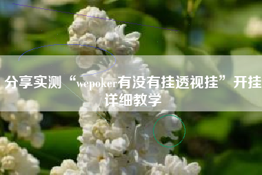 分享实测“wepoker有没有挂透视挂	”开挂详细教学