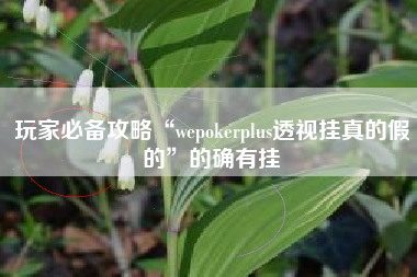 玩家必备攻略“wepokerplus透视挂真的假的”的确有挂