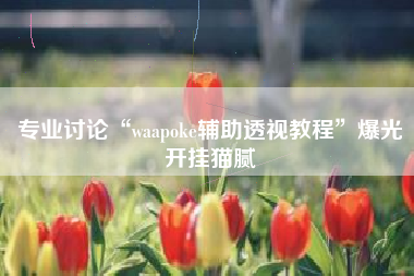 专业讨论“waapoke辅助透视教程”爆光开挂猫腻