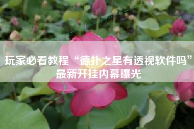 玩家必看教程“德扑之星有透视软件吗”最新开挂内幕曝光