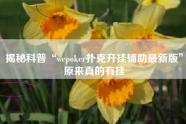 揭秘科普“wepoker扑克开挂辅助最新版”原来真的有挂