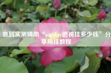 查到实测辅助“aapoker透视挂多少钱”分享用挂教程