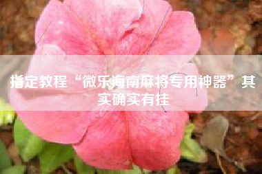 指定教程“微乐海南麻将专用神器”其实确实有挂