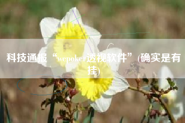 科技通报“wepoker透视软件”(确实是有挂)