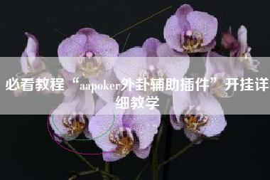 必看教程“aapoker外卦辅助插件	”开挂详细教学