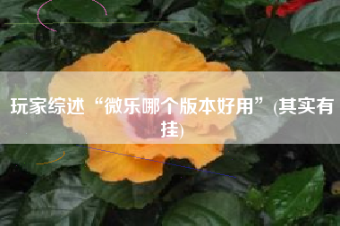 玩家综述“微乐哪个版本好用”(其实有挂)