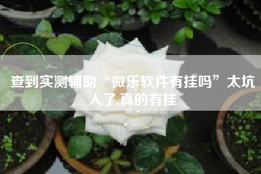 查到实测辅助“微乐软件有挂吗”太坑人了,真的有挂