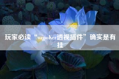 玩家必读“wepoKer透视插件”确实是有挂