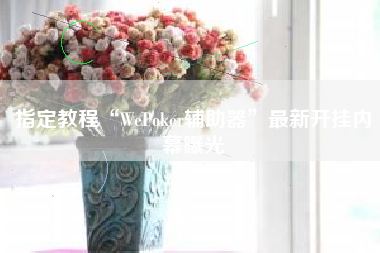 指定教程“WePoker辅助器”最新开挂内幕曝光
