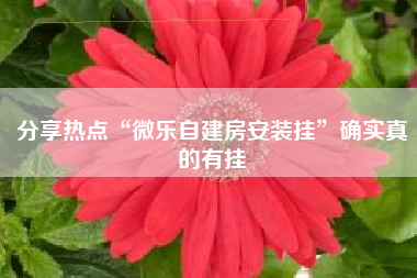 分享热点“微乐自建房安装挂	”确实真的有挂