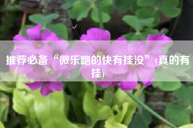 推荐必备“微乐跑的快有挂没	”(真的有挂)
