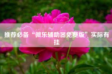 推荐必备“微乐辅助器免费版	”实际有挂