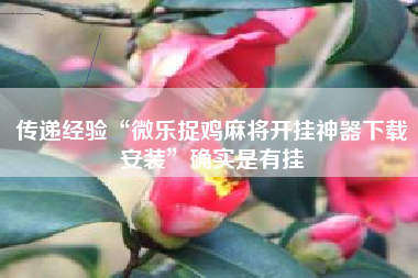 传递经验“微乐捉鸡麻将开挂神器下载安装	”确实是有挂