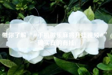 带你了解“#手机微乐麻将开挂视频#	”(确实真的有挂)