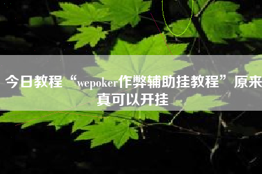 今日教程“wepoker作弊辅助挂教程	”原来真可以开挂