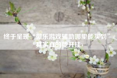 终于呈现“微乐游戏辅助哪里能买到”(其实真的能开挂)